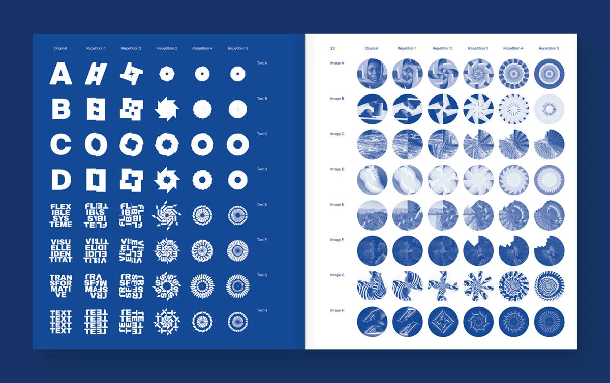 Flexible Visual Systems