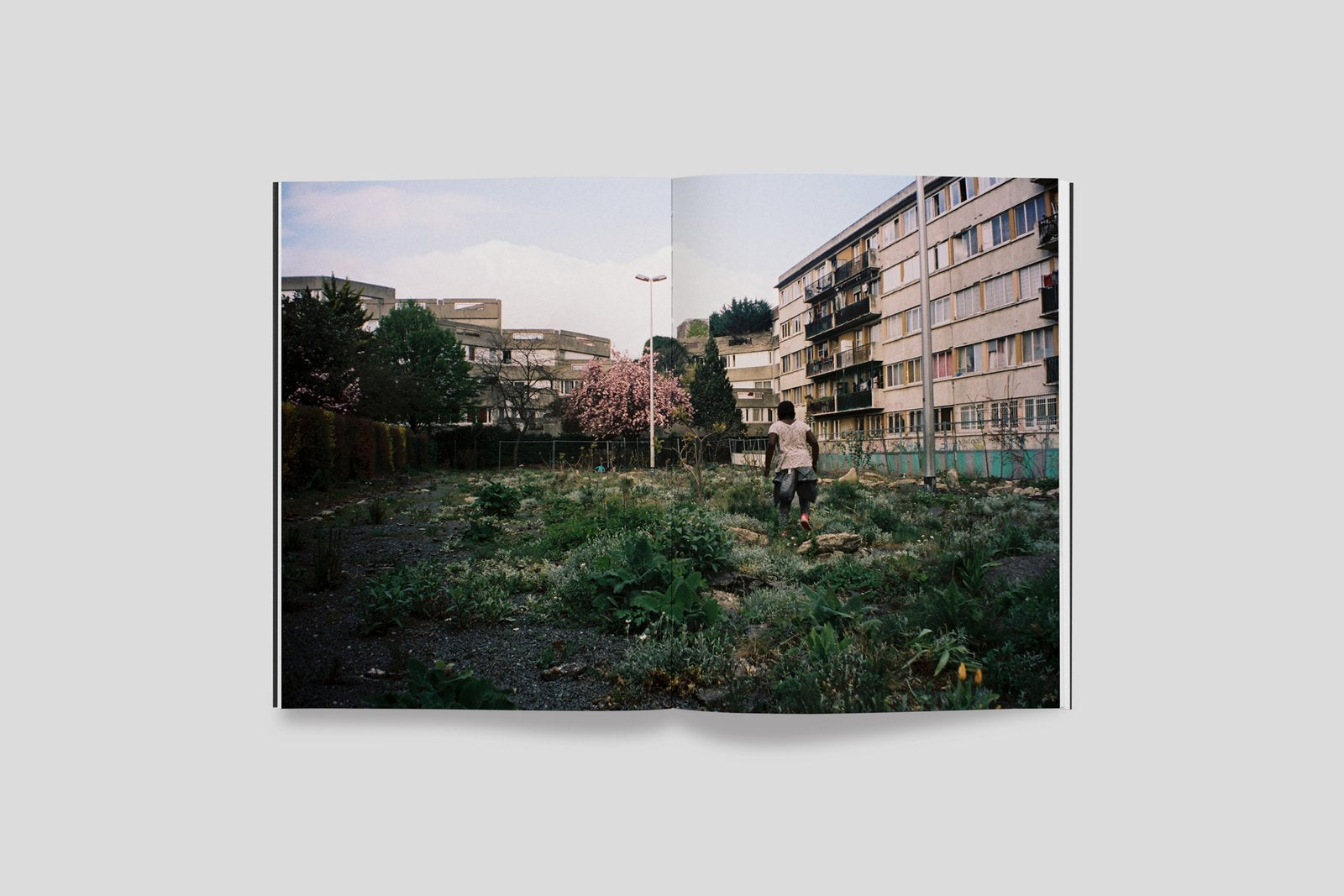 La trilogie du bonheur - Marvin Bonheur