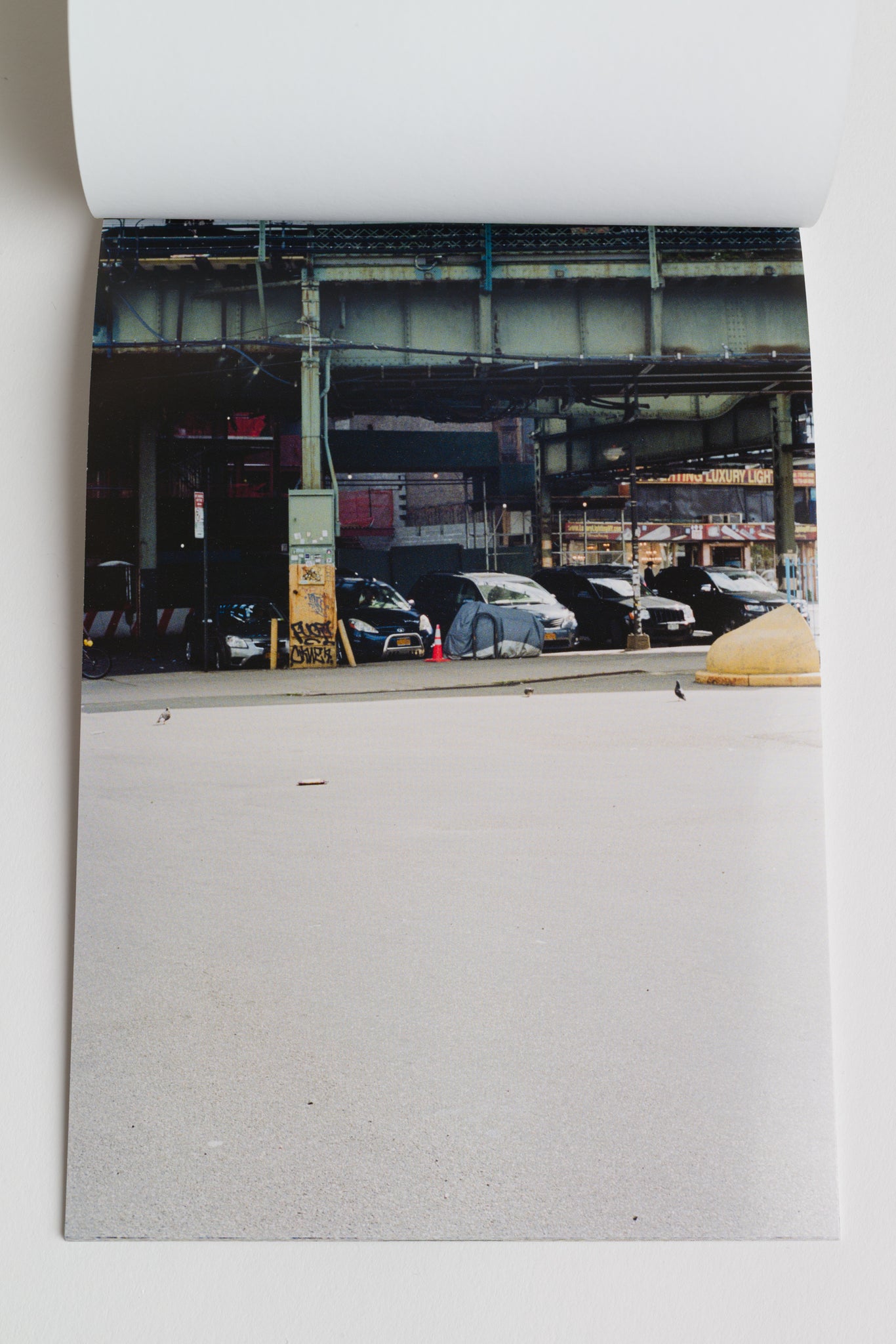 Pigeon and Puddle - Björn Allemann