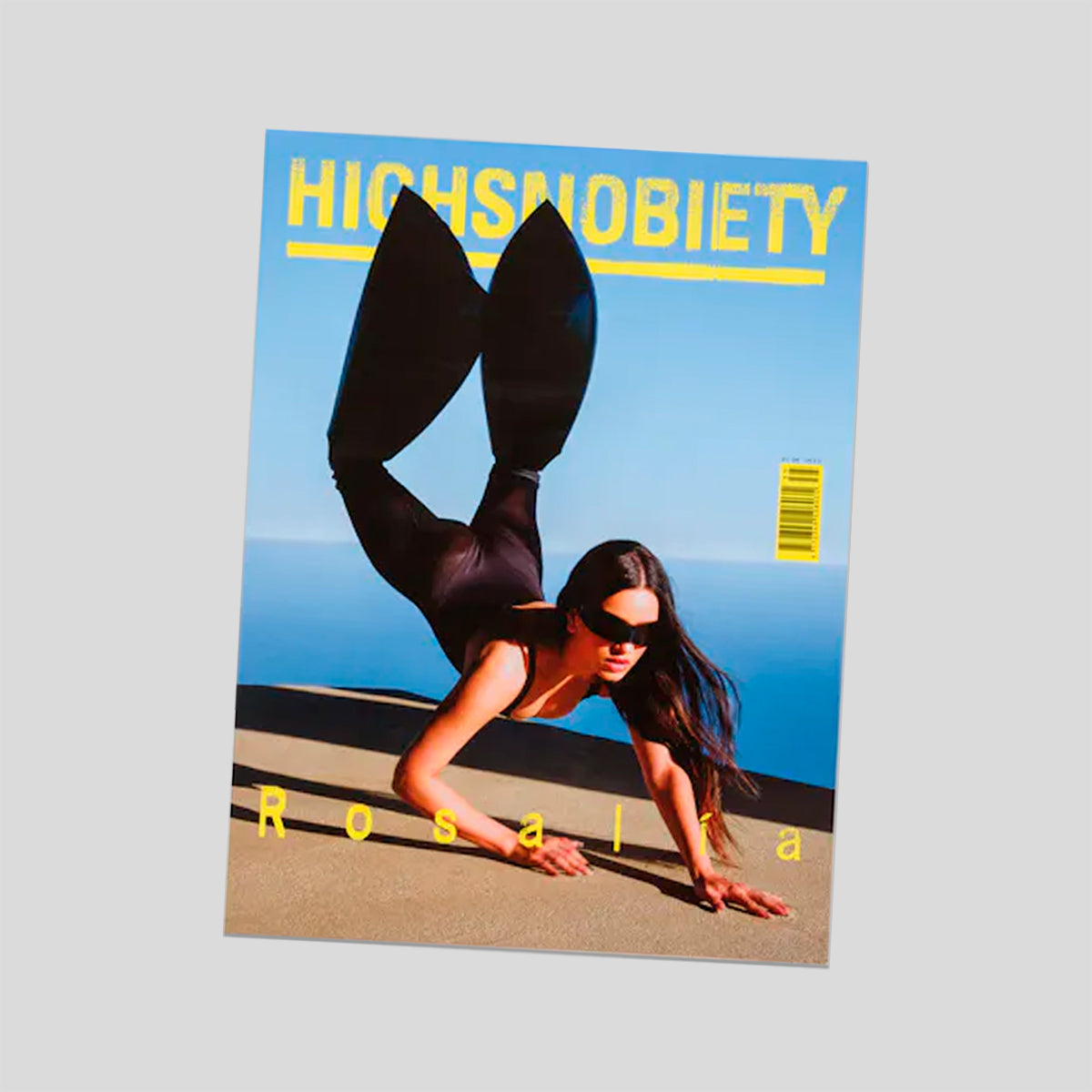 HIGHSNOBIETY #35