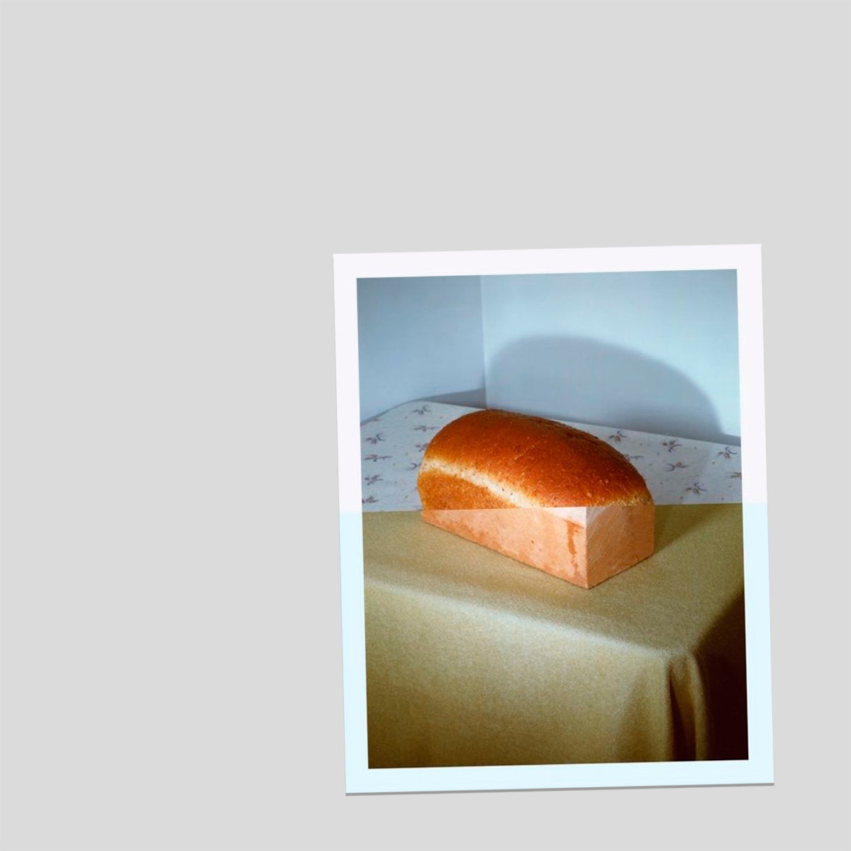 Dish Trick - Jo Ann Callis