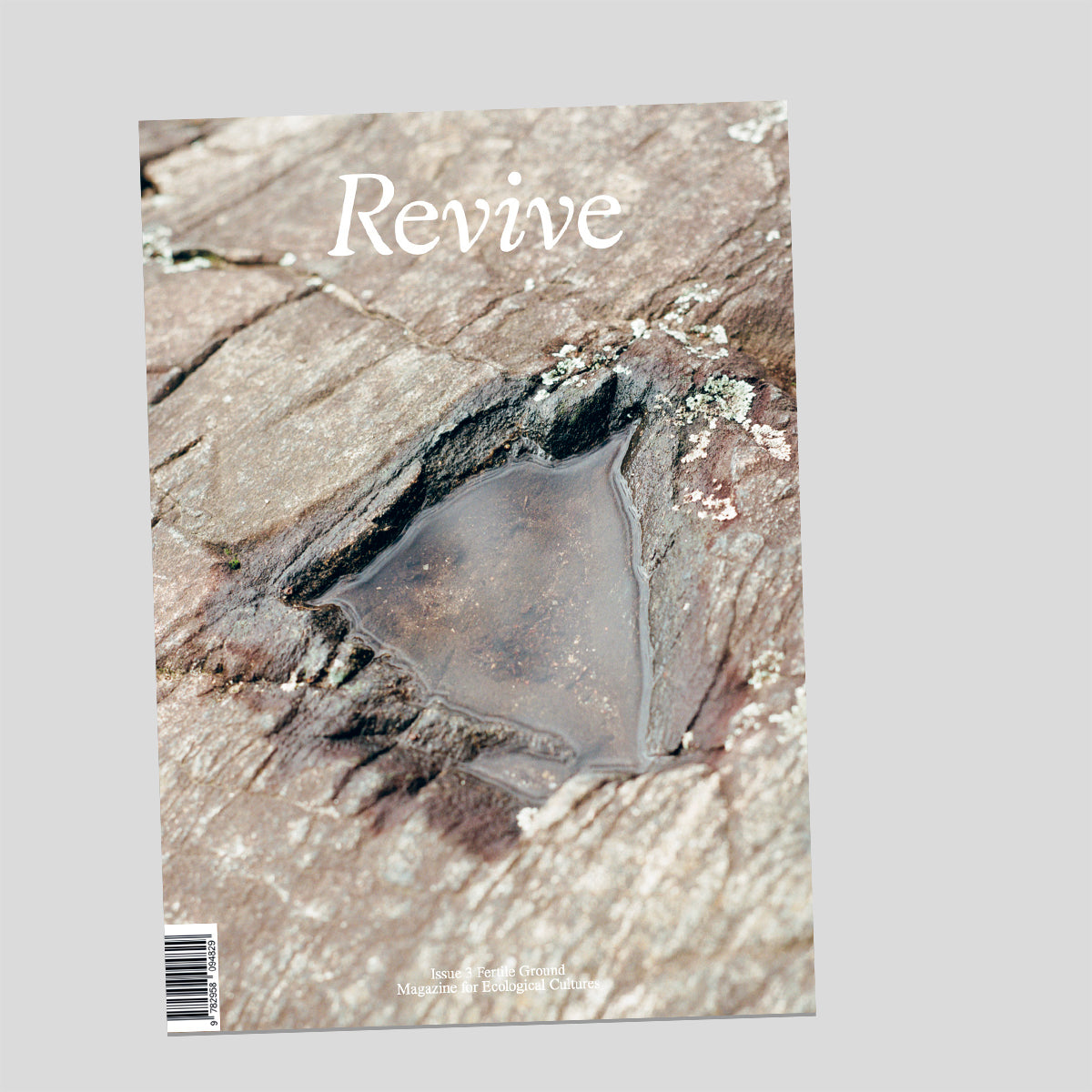 Revive #3 – Cahier Central