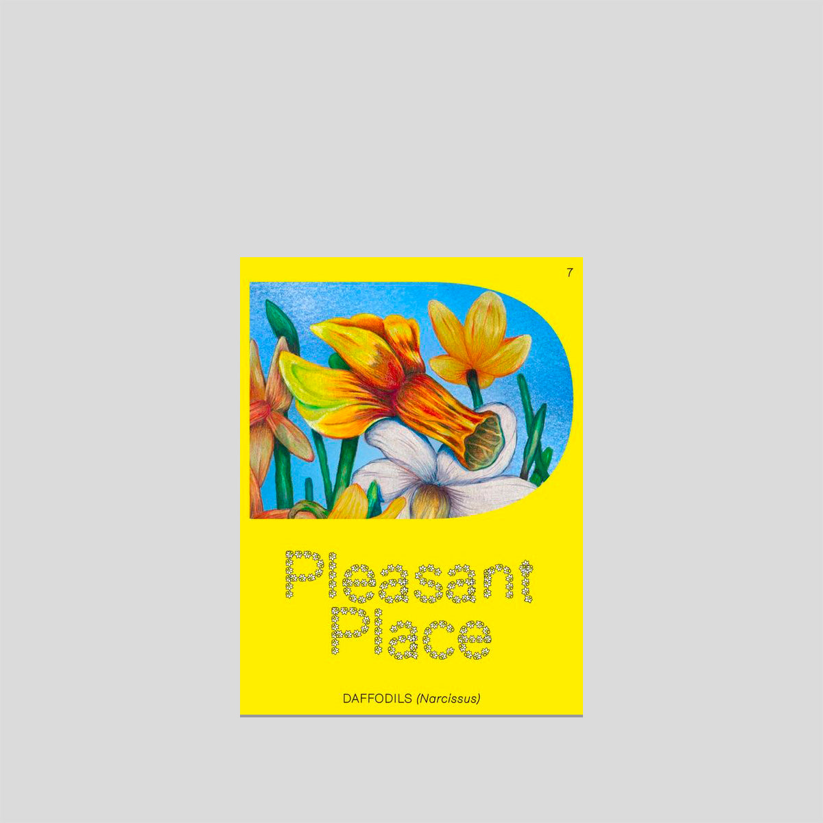 Pleasant Place #7: Daffodils (Narcissus)