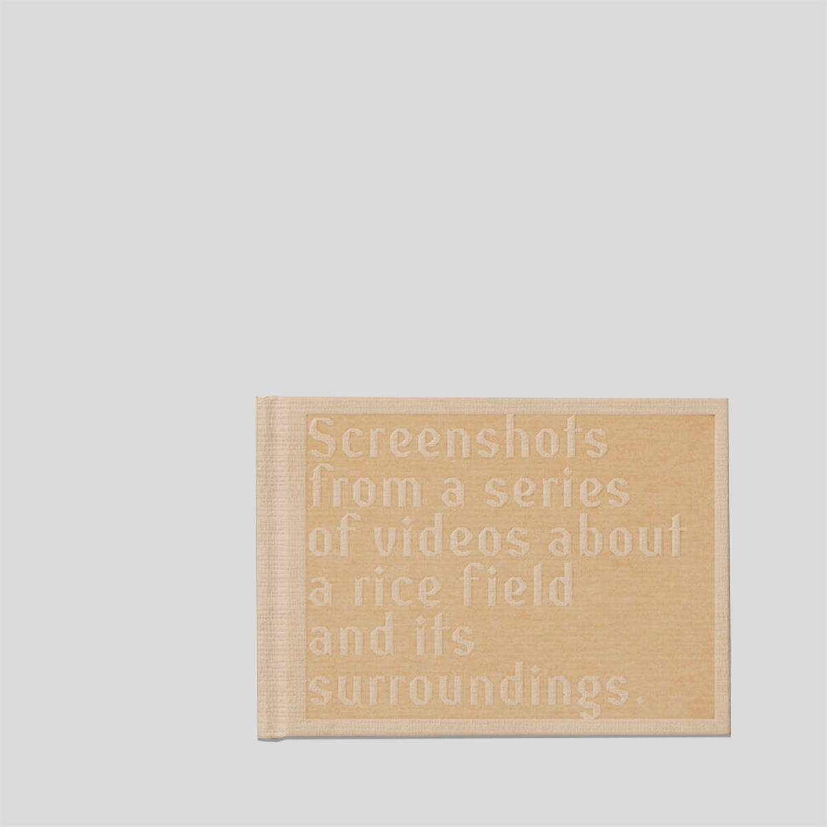 Screenshots of a Rice Field and its Surroundings - Cintia Tortosa Santisteban