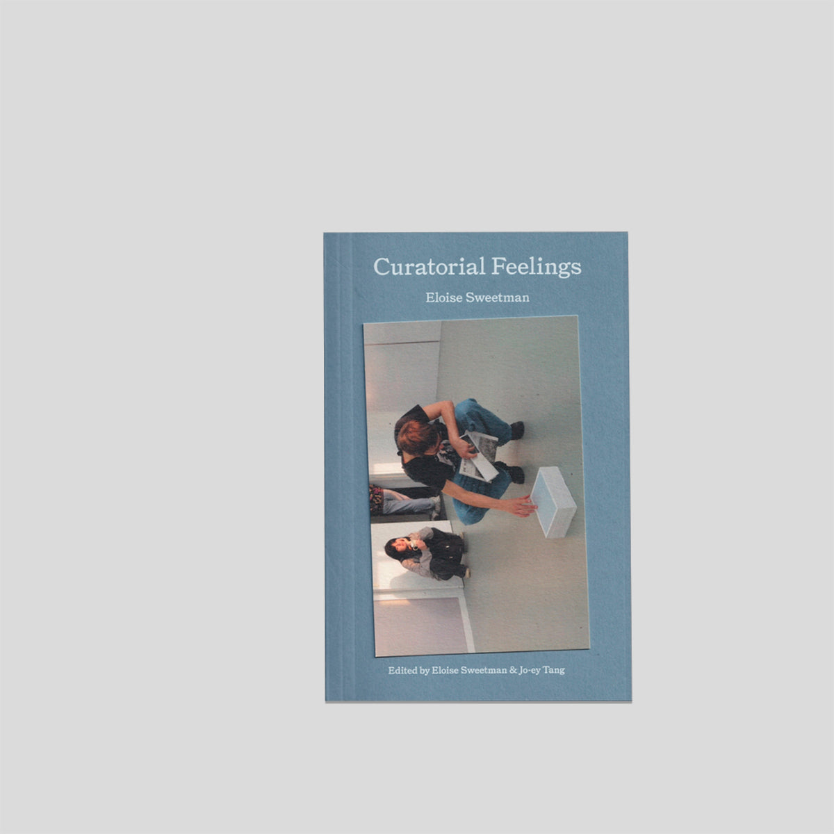 Curatorial Feelings - Eloise Sweetman