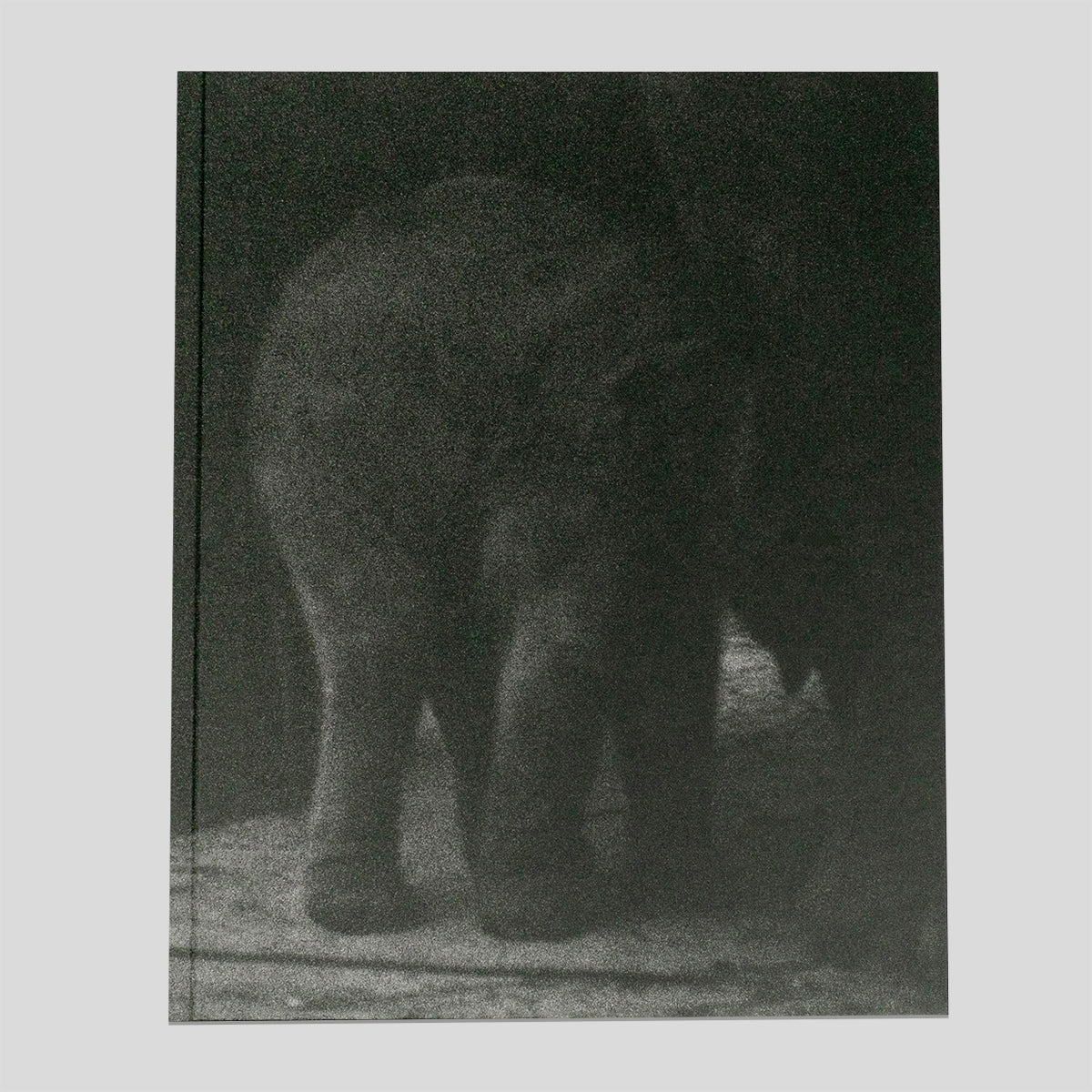 Entendue - Charlotte Dumas