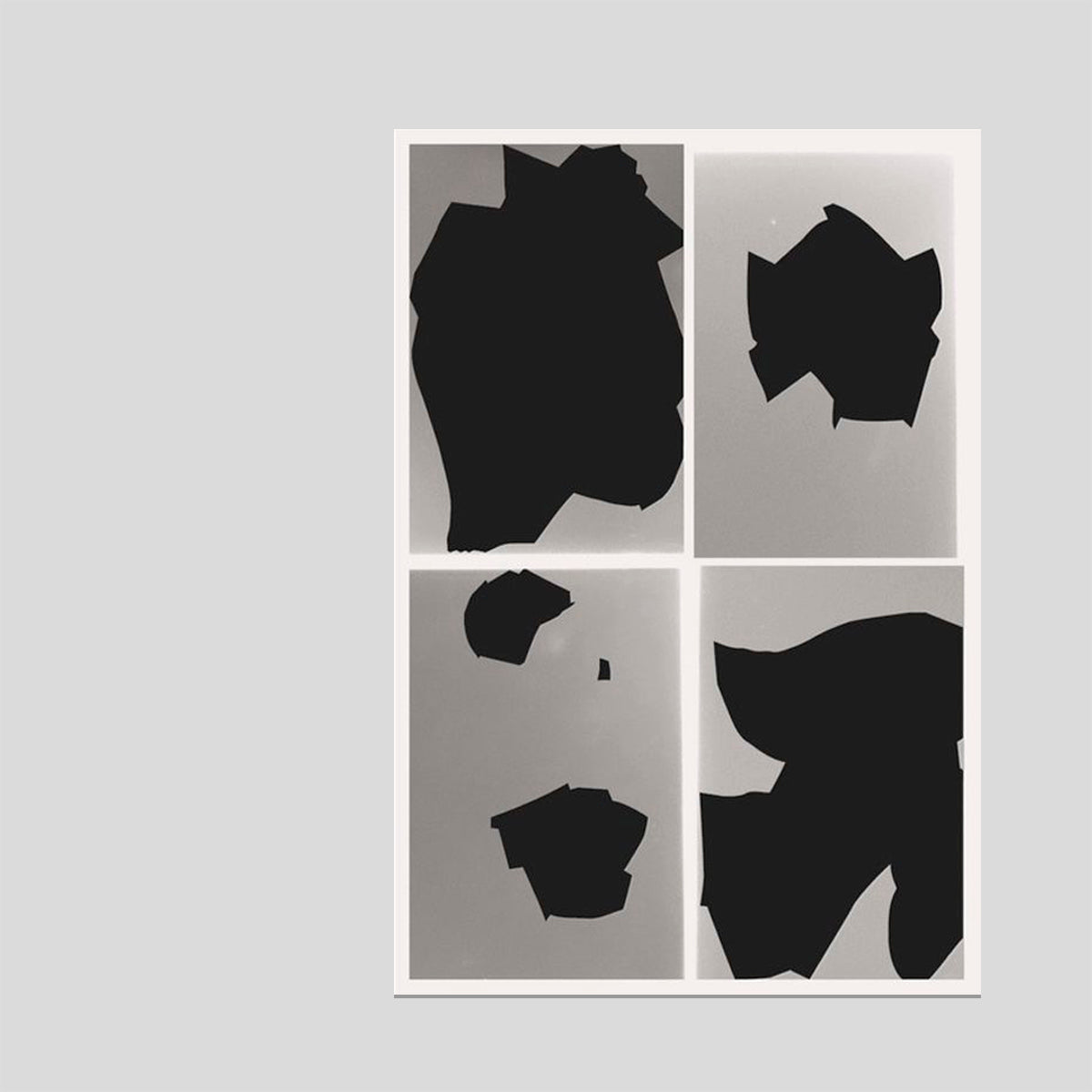 Bird shaped vinyl - Kai UDEMA