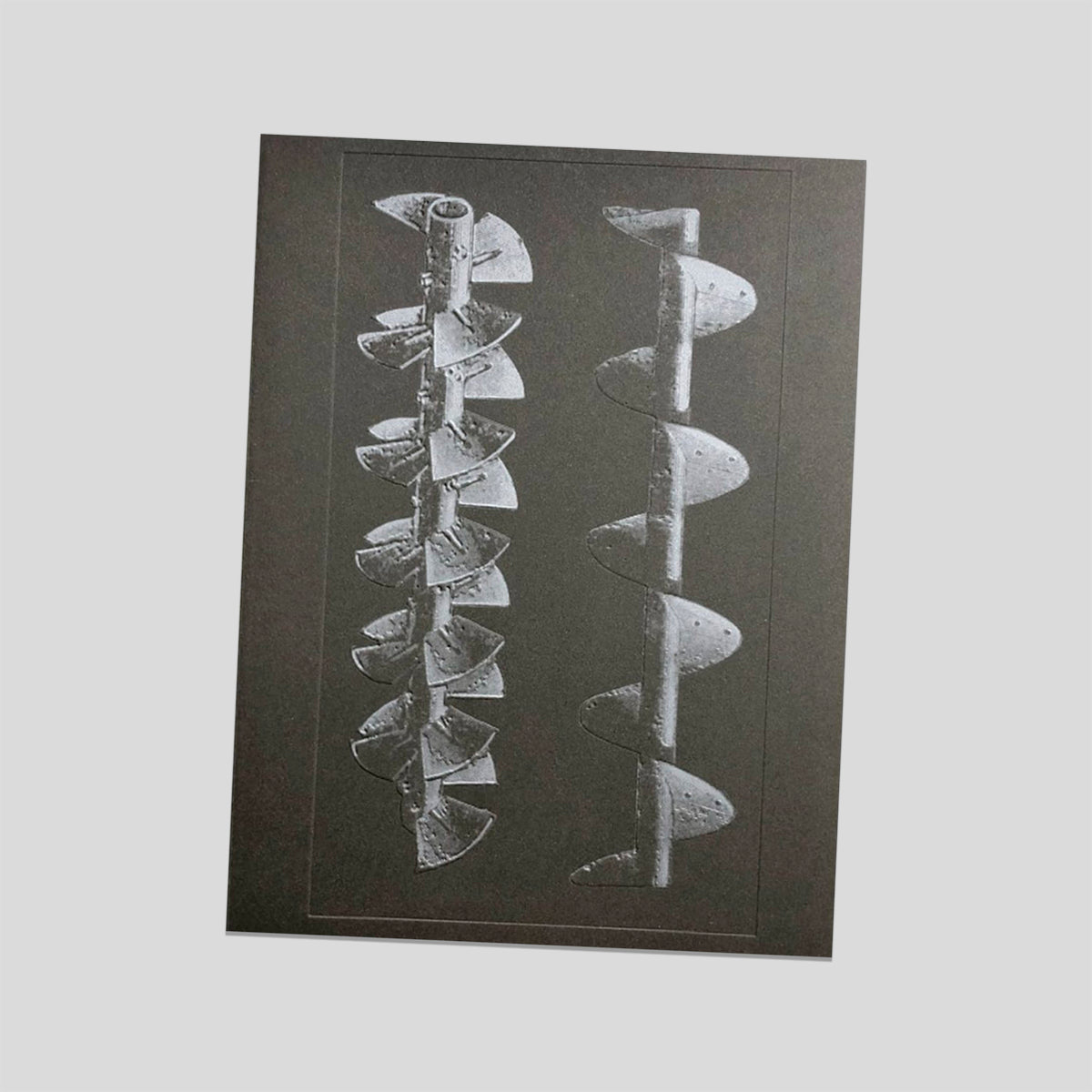 La Nonpareille - Batia Suter