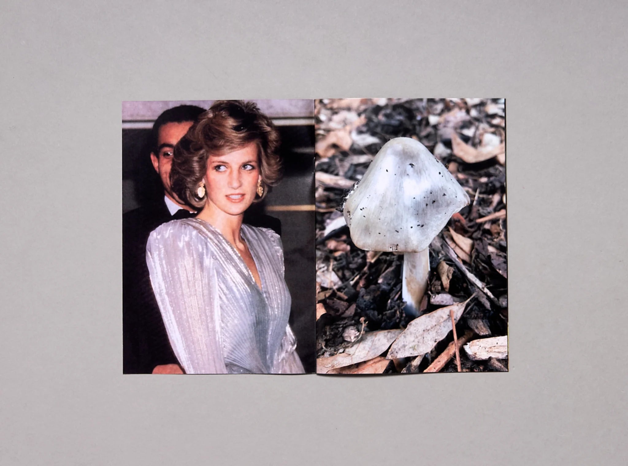 Princess Diana as Mushrooms Volume 2