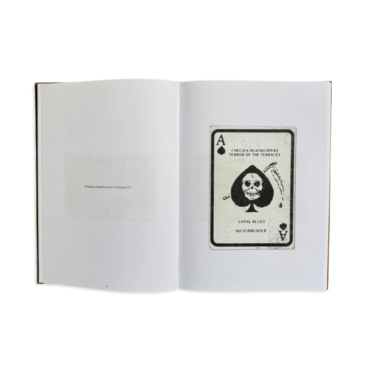 Hoolicards
