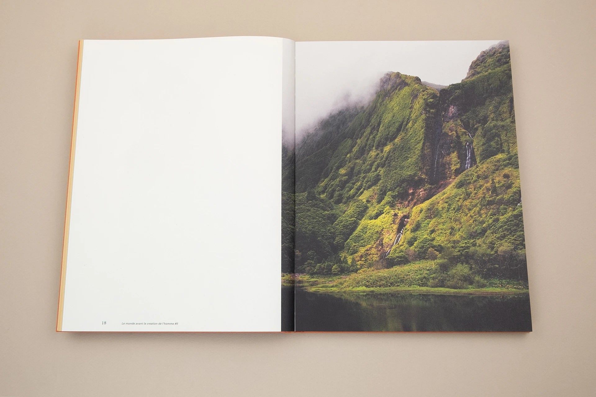 Floating Signifiers - Daan Paans