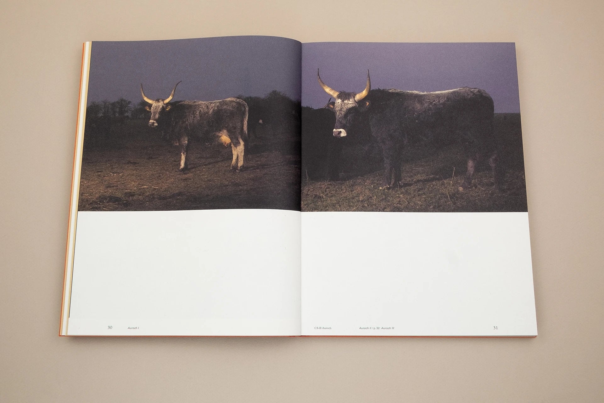 Floating Signifiers - Daan Paans