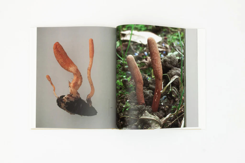 A Dim Cozy Room - Shigeo Otake – Cahier Central