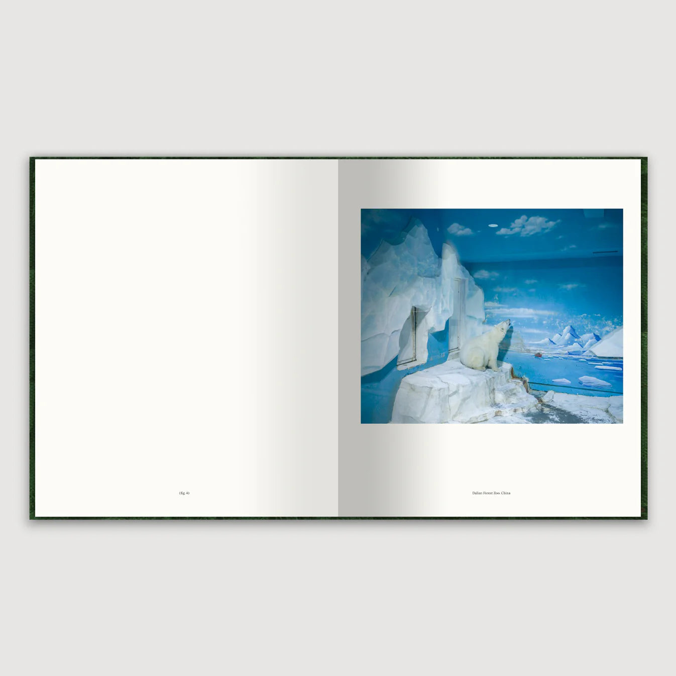 The Anthropocene Illusion -  Zed Nelson