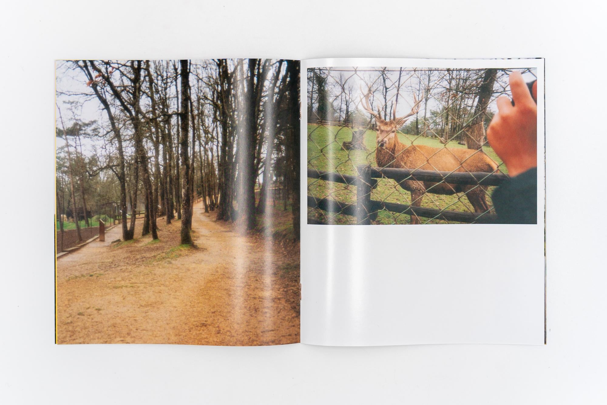 ZOORAMA - Mathias de Lattre