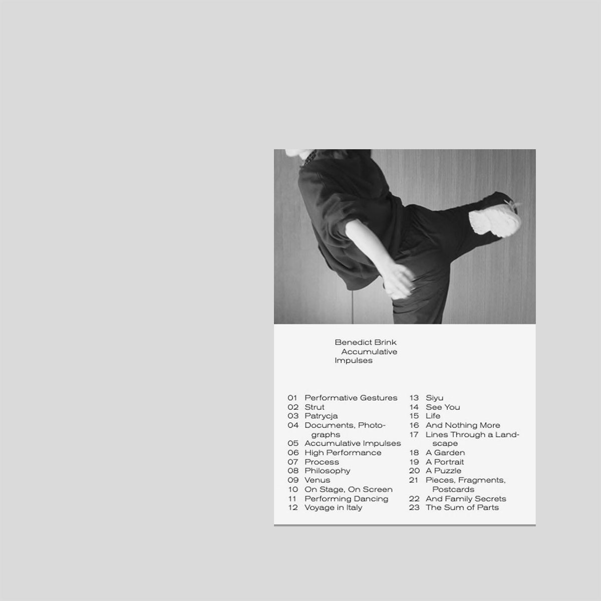 Accumulative impulses - Benedict Brink – Cahier Central