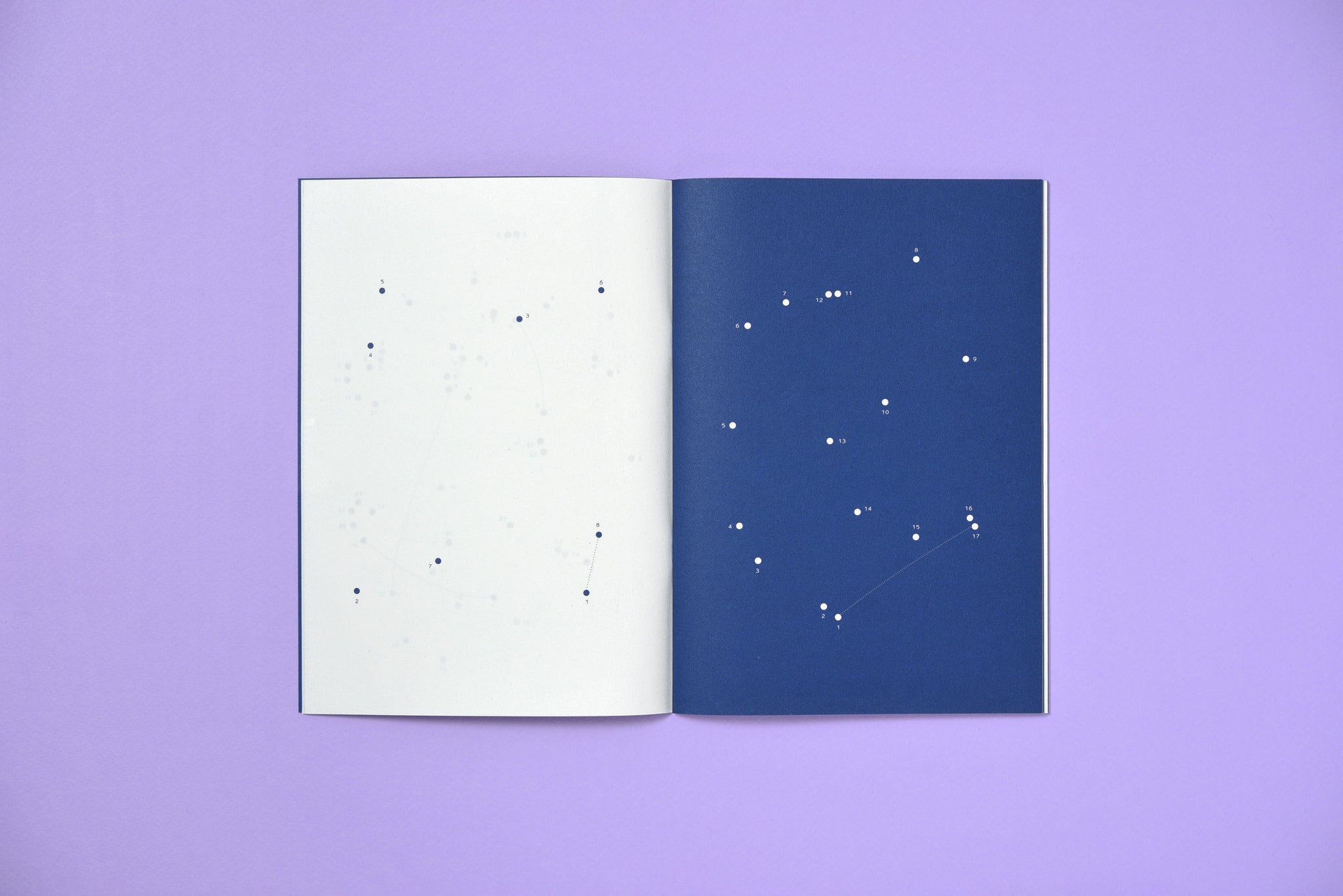 Constellations - Sophie Cure et Aurélien Farina