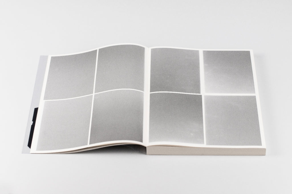 Bird shaped vinyl - Kai UDEMA