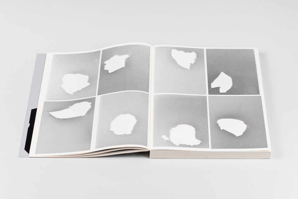 Bird shaped vinyl - Kai UDEMA