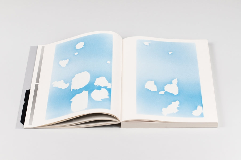 Bird shaped vinyl - Kai UDEMA