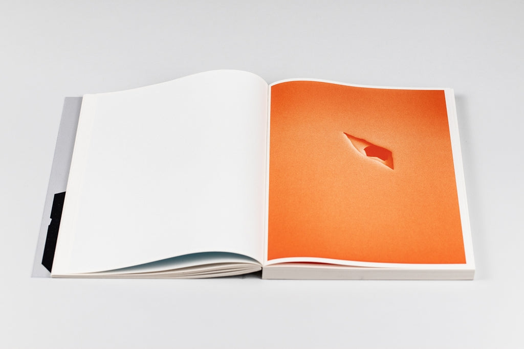 Bird shaped vinyl - Kai UDEMA