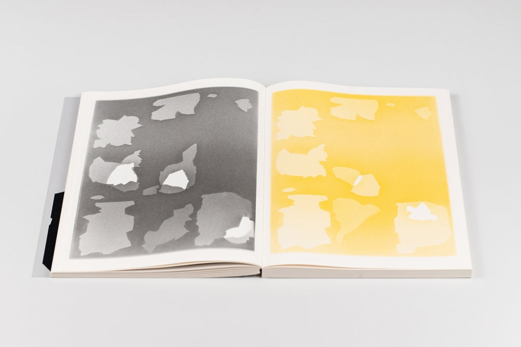 Bird shaped vinyl - Kai UDEMA