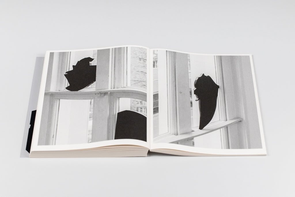 Bird shaped vinyl - Kai UDEMA