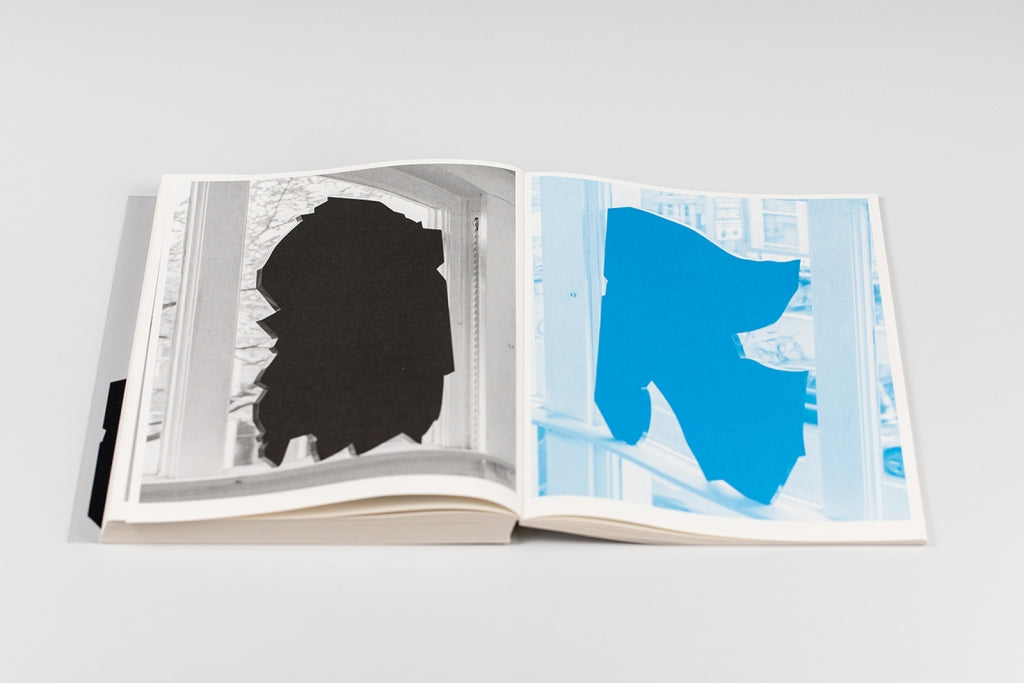 Bird shaped vinyl - Kai UDEMA