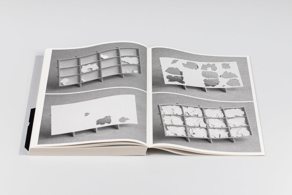 Bird shaped vinyl - Kai UDEMA