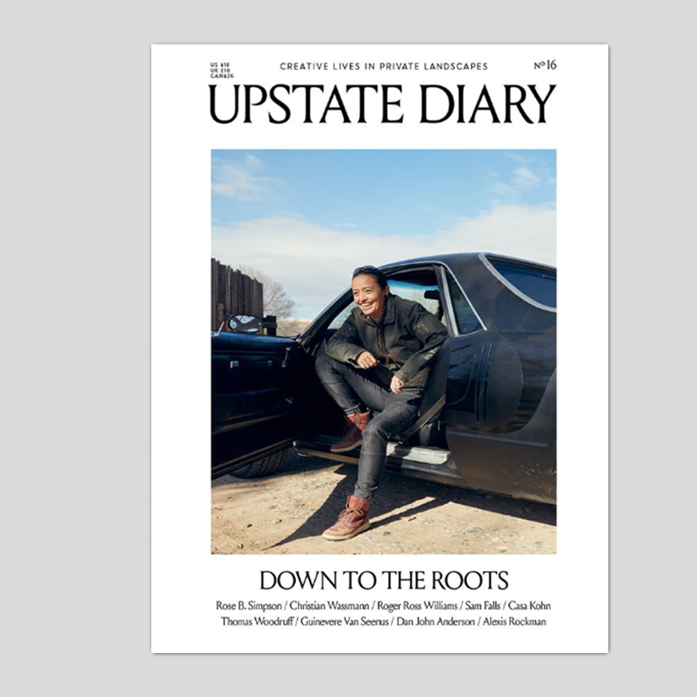 Upstate Diary #16