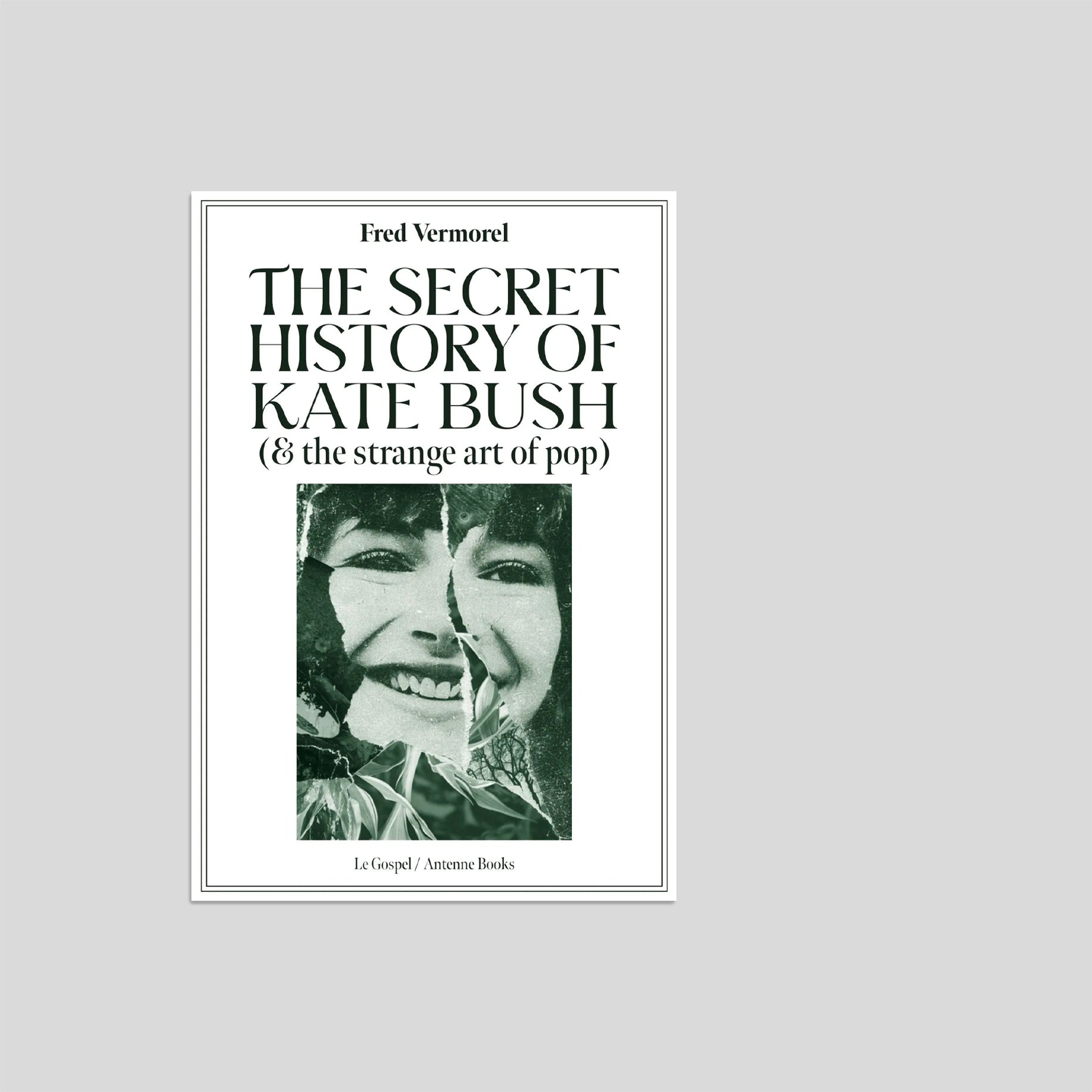 The Secret History of Kate Bush - Fred Vermorel