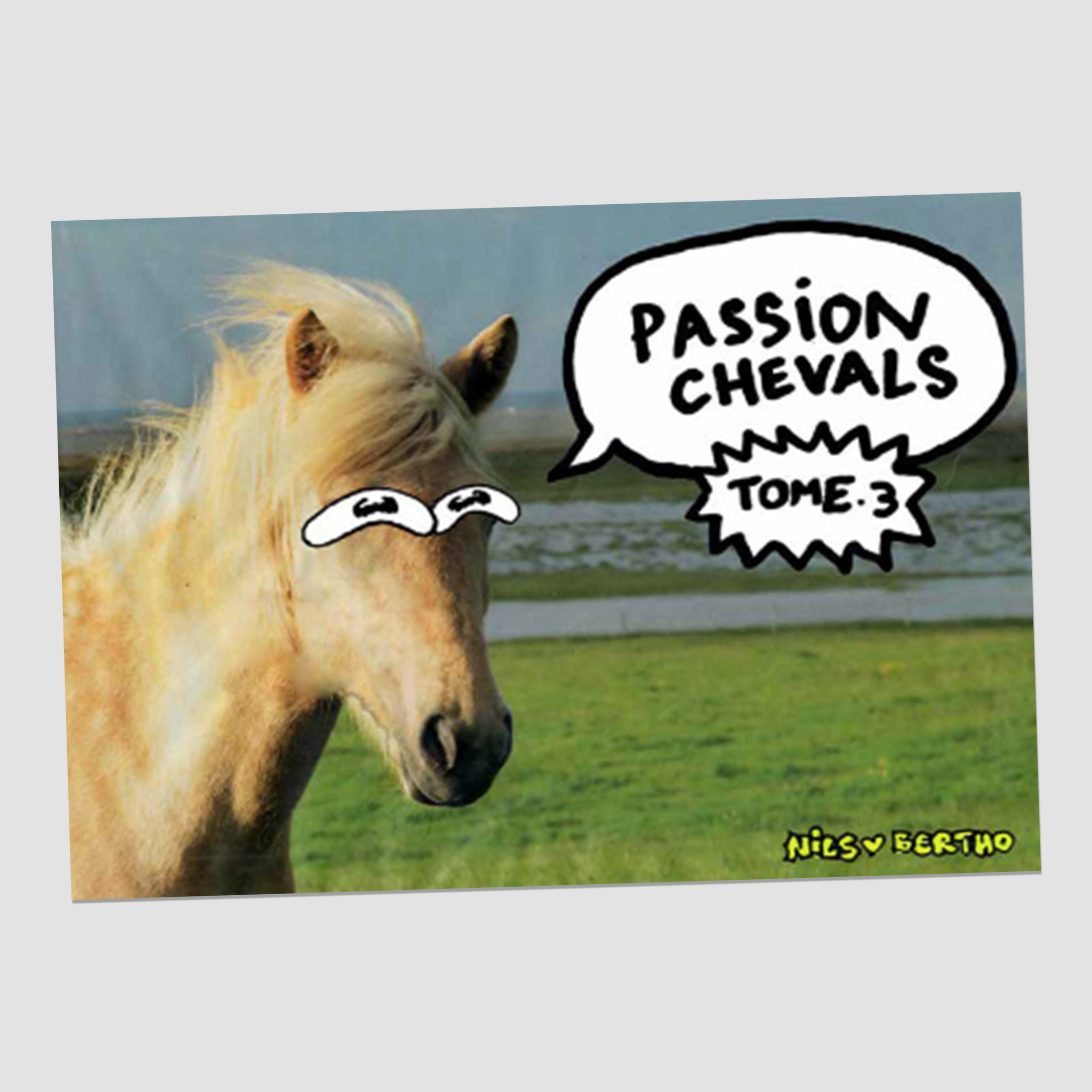 Passion Chevals #3 — Nils Bertho