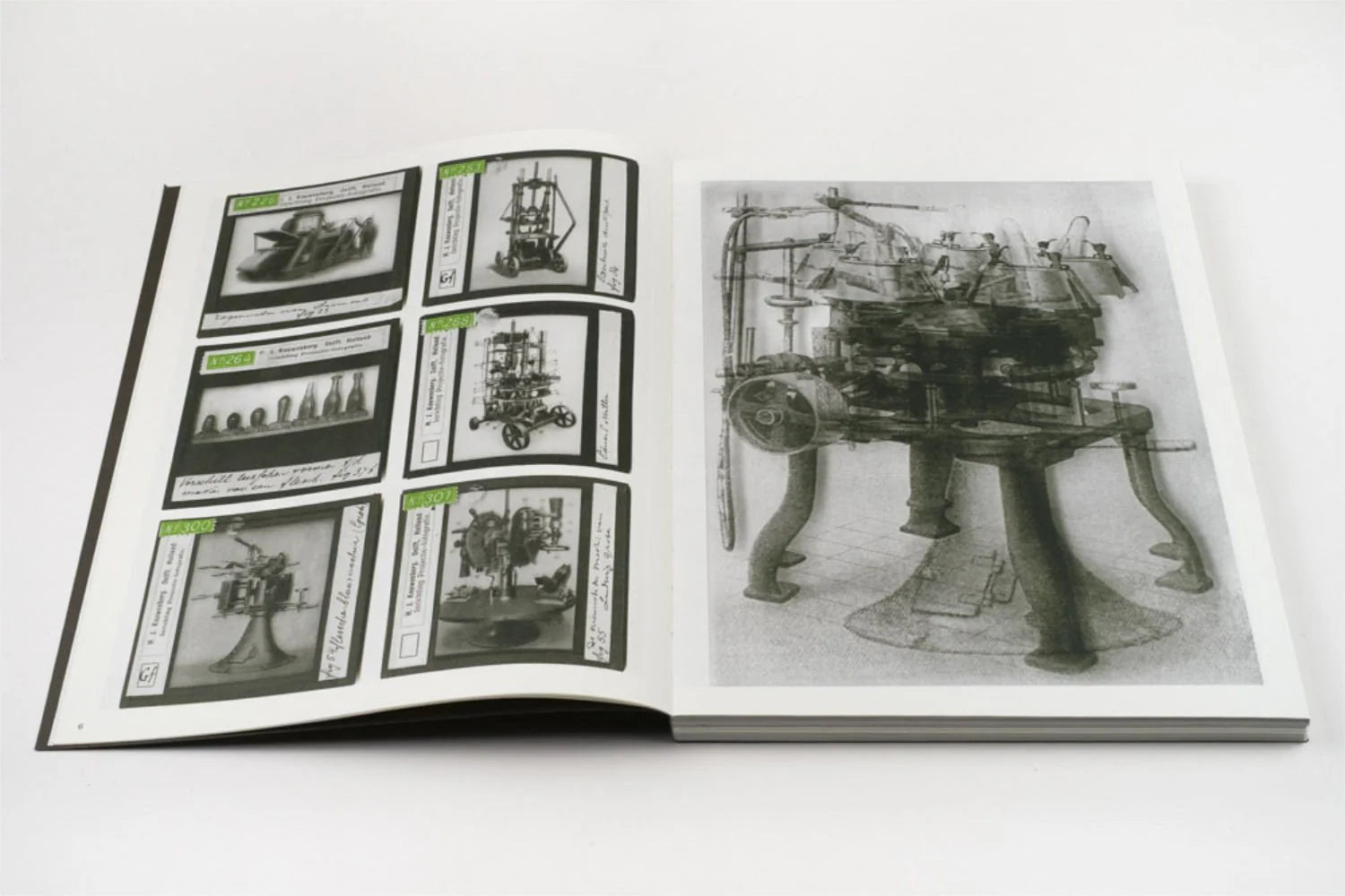 La Nonpareille - Batia Suter