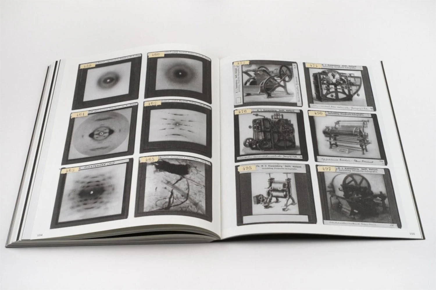 La Nonpareille - Batia Suter