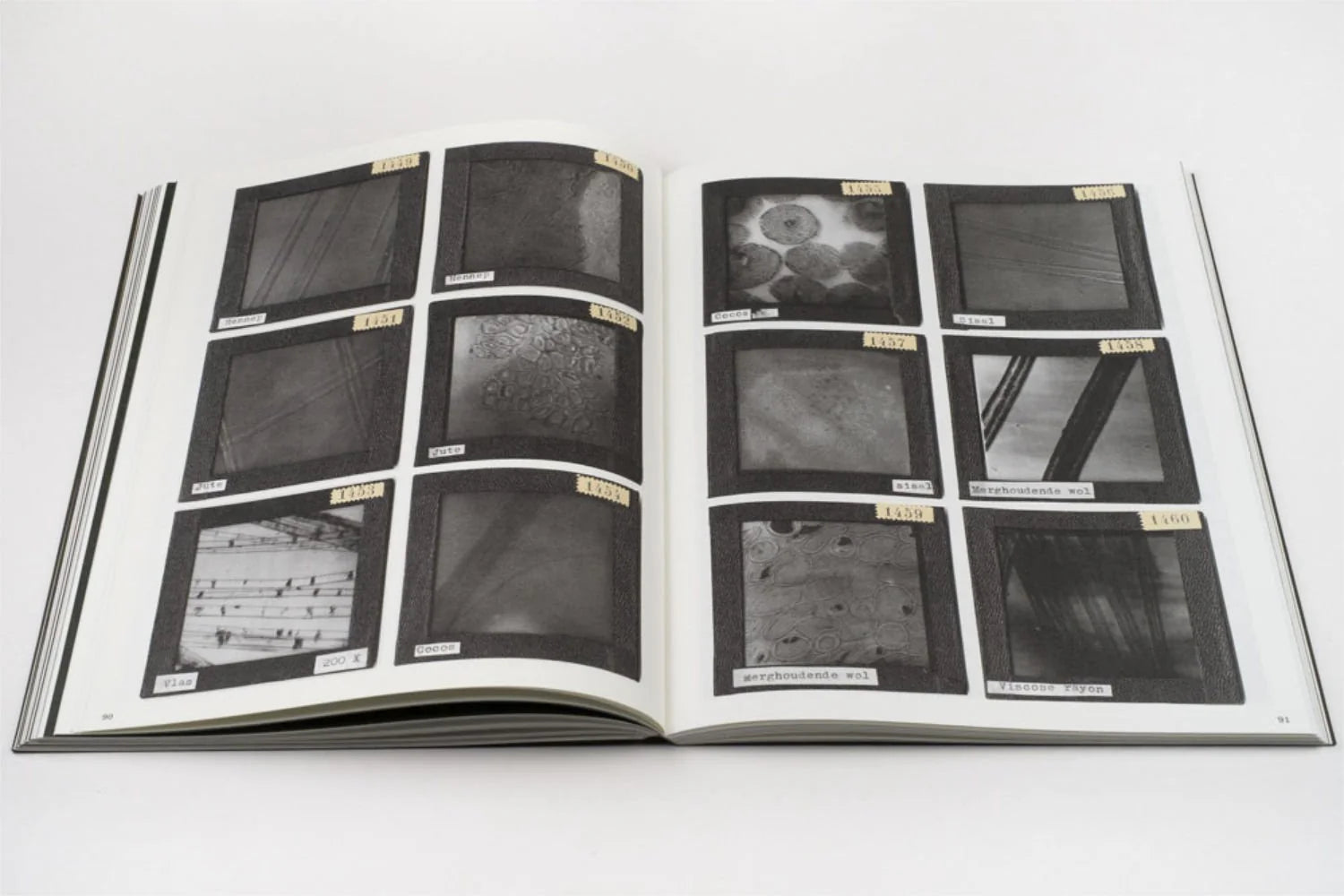 La Nonpareille - Batia Suter