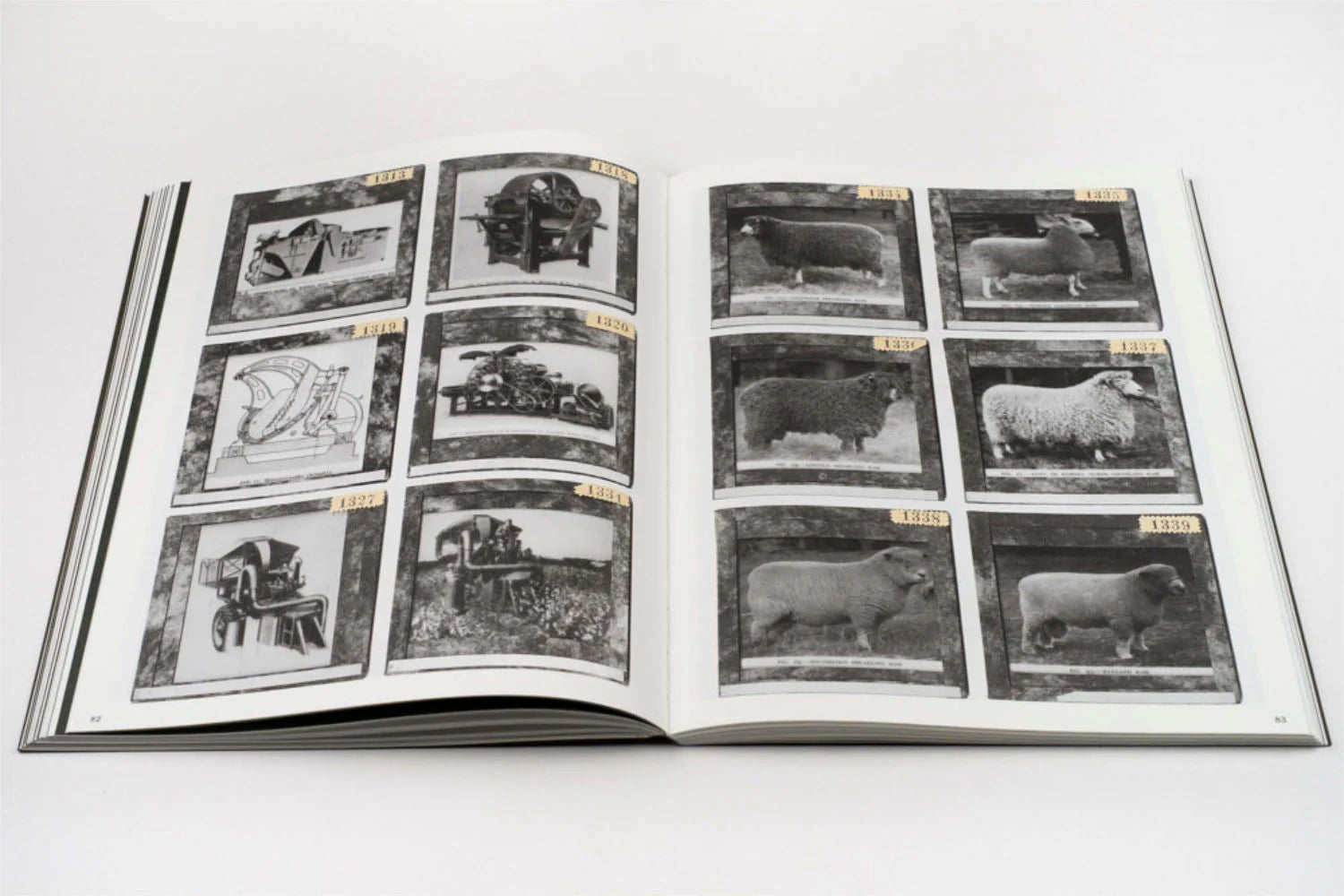 La Nonpareille - Batia Suter