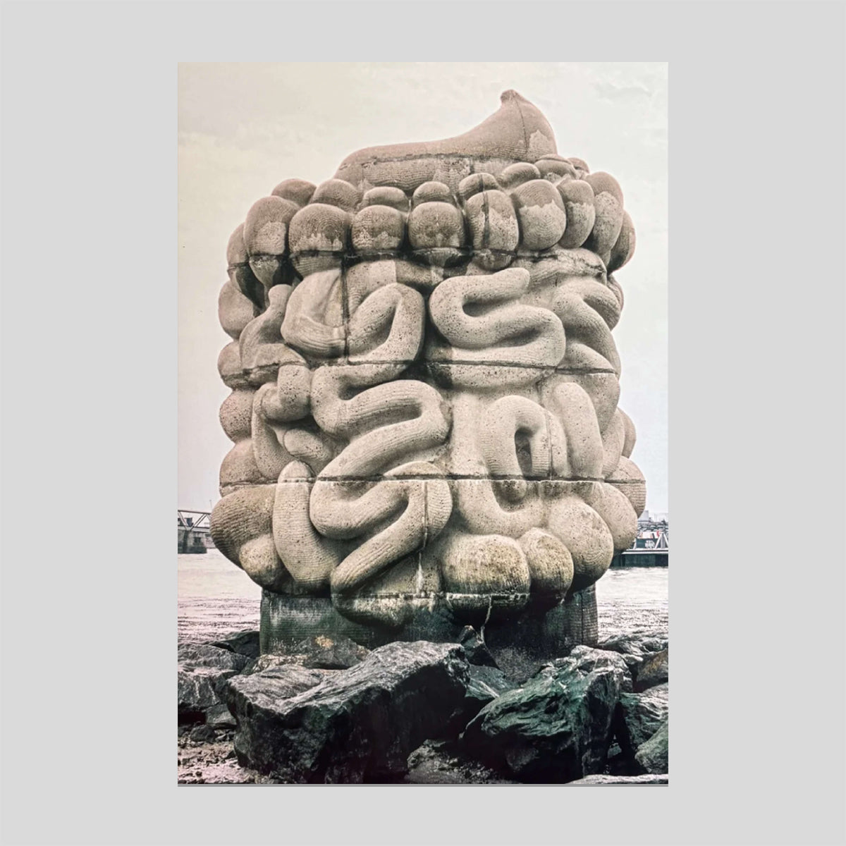 Le pied, le pull-over et le système digestif - Daniel Dewar & Grégory Gicquel