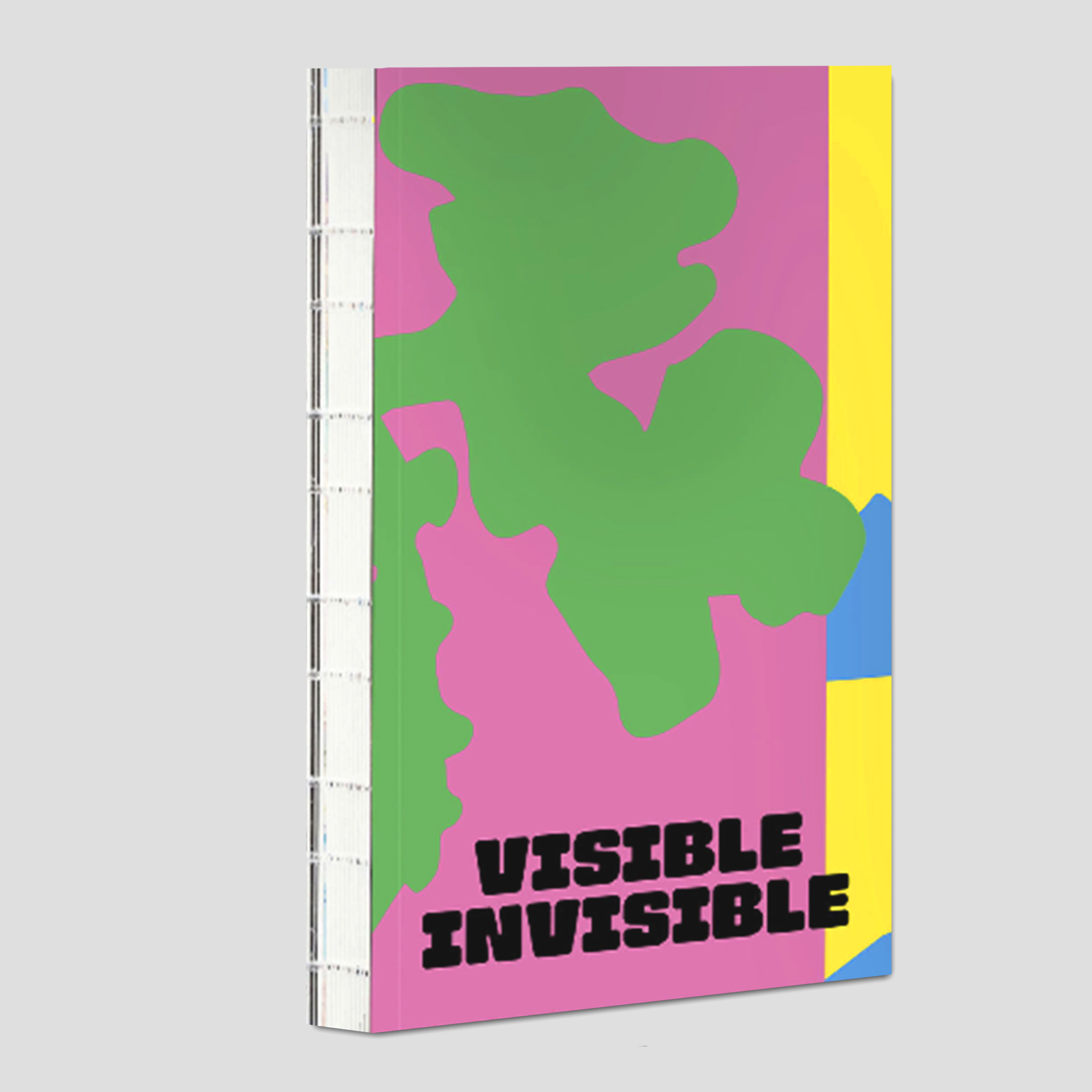 Visible, Invisible – Cahier Central