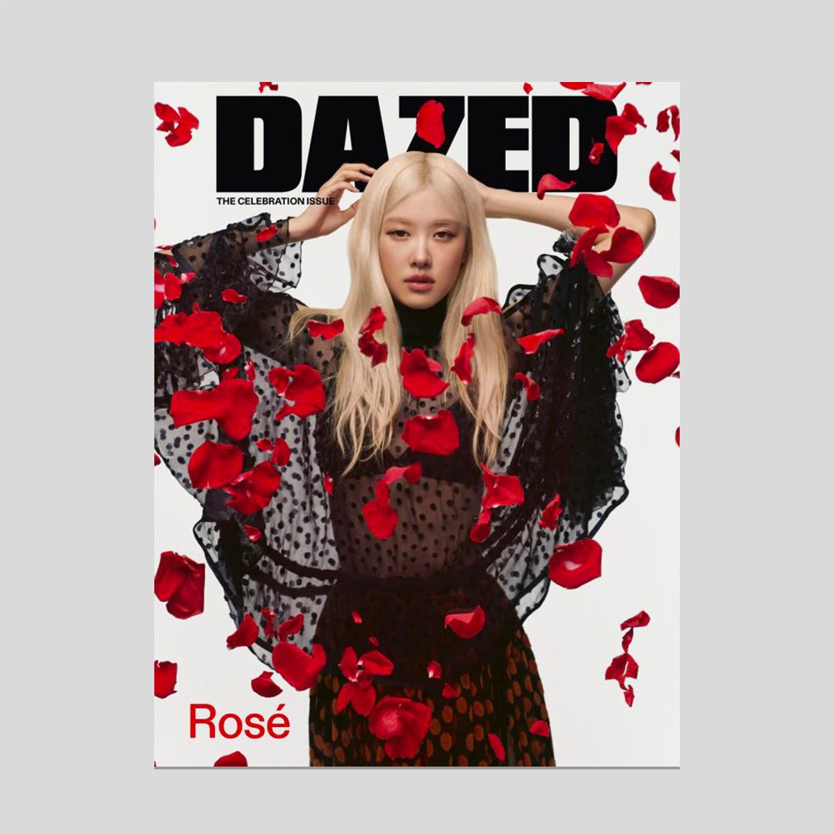 Dazed #288 – Cahier Central