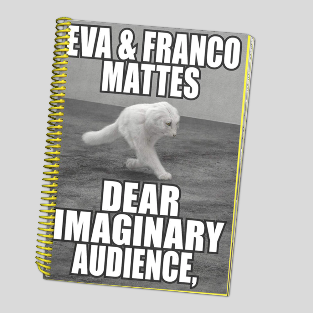 Dear Imaginary Audience, - Eva & Franco Mattes