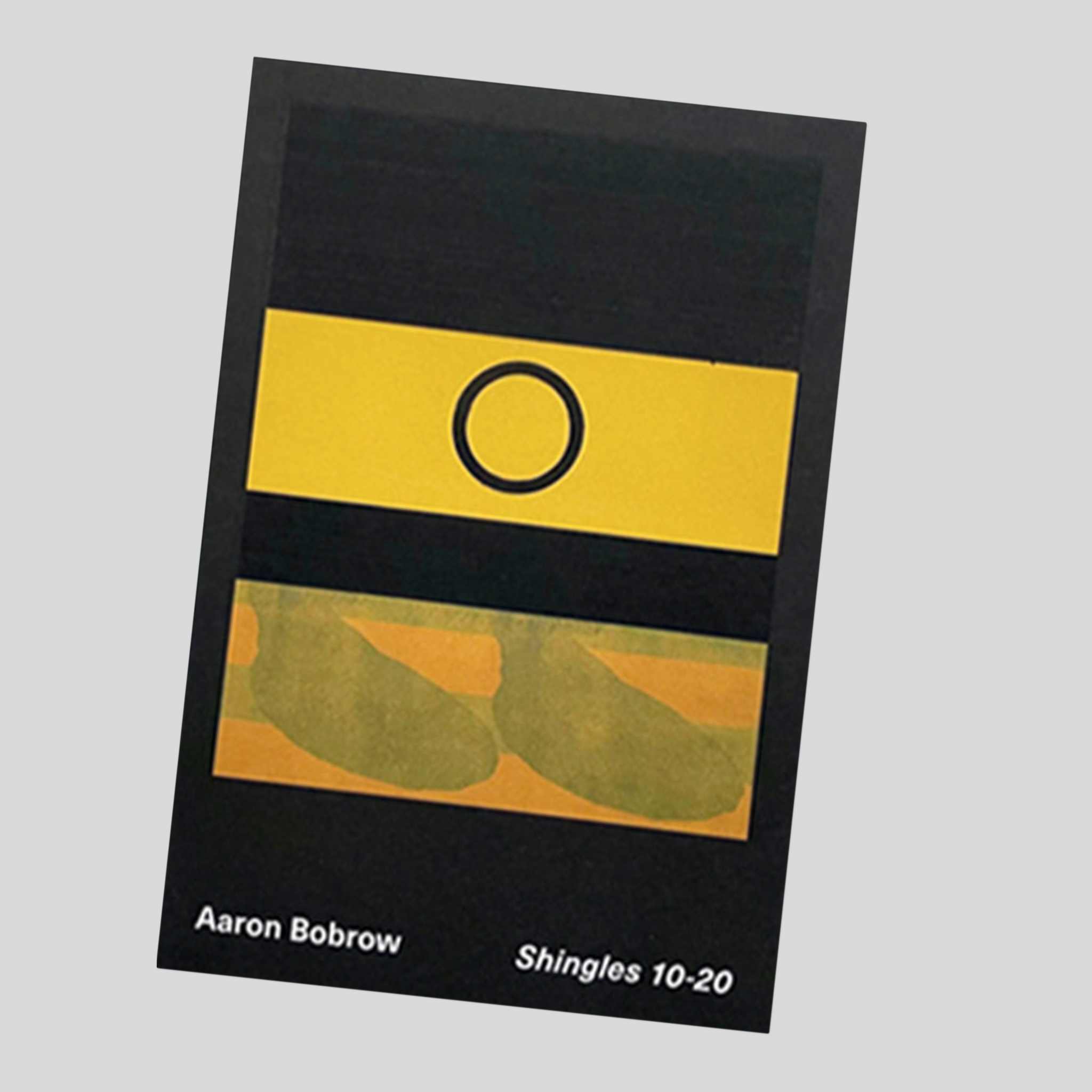 Shingles 1020 Aaron Bobrow Cahier Central