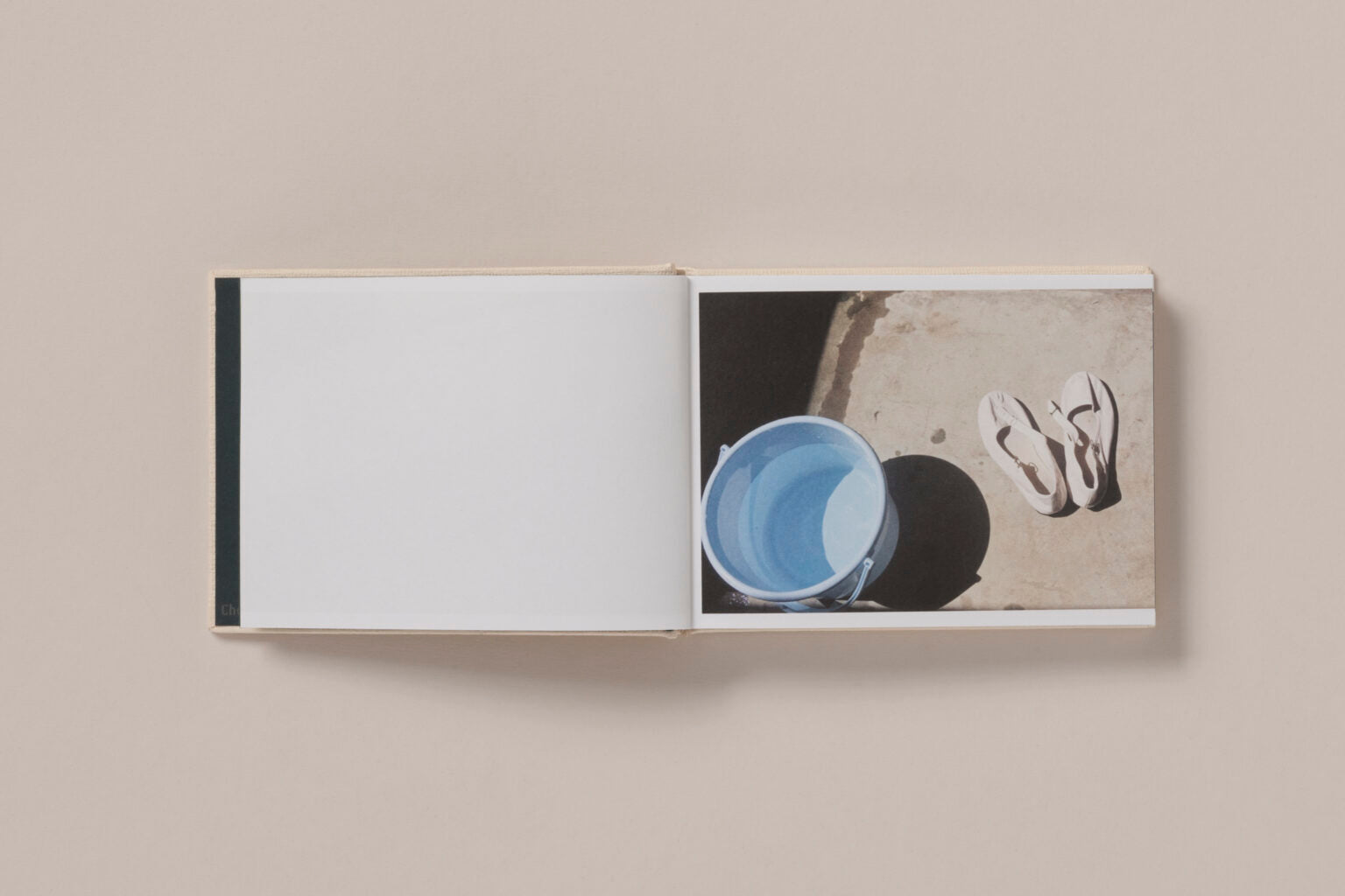 Screenshots of a Rice Field and its Surroundings - Cintia Tortosa Santisteban