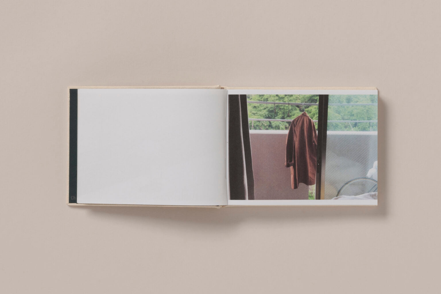 Screenshots of a Rice Field and its Surroundings - Cintia Tortosa Santisteban