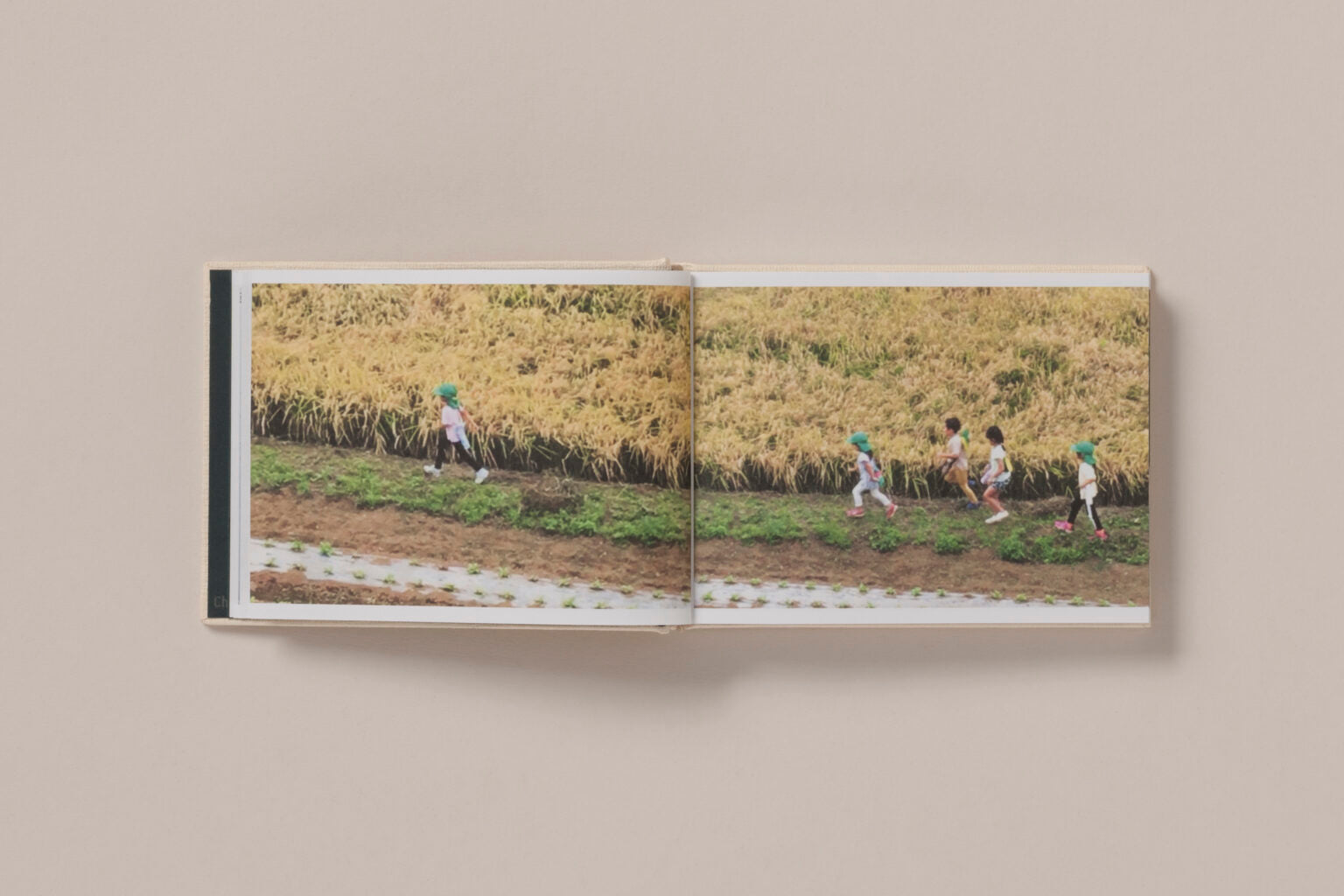 Screenshots of a Rice Field and its Surroundings - Cintia Tortosa Santisteban