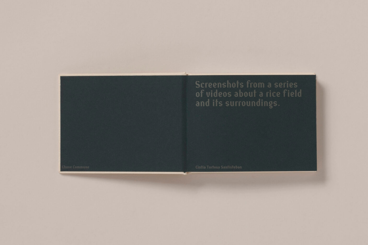 Screenshots of a Rice Field and its Surroundings - Cintia Tortosa Santisteban