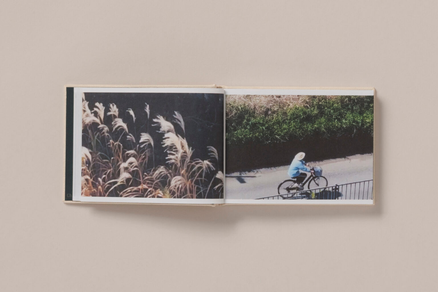 Screenshots of a Rice Field and its Surroundings - Cintia Tortosa Santisteban