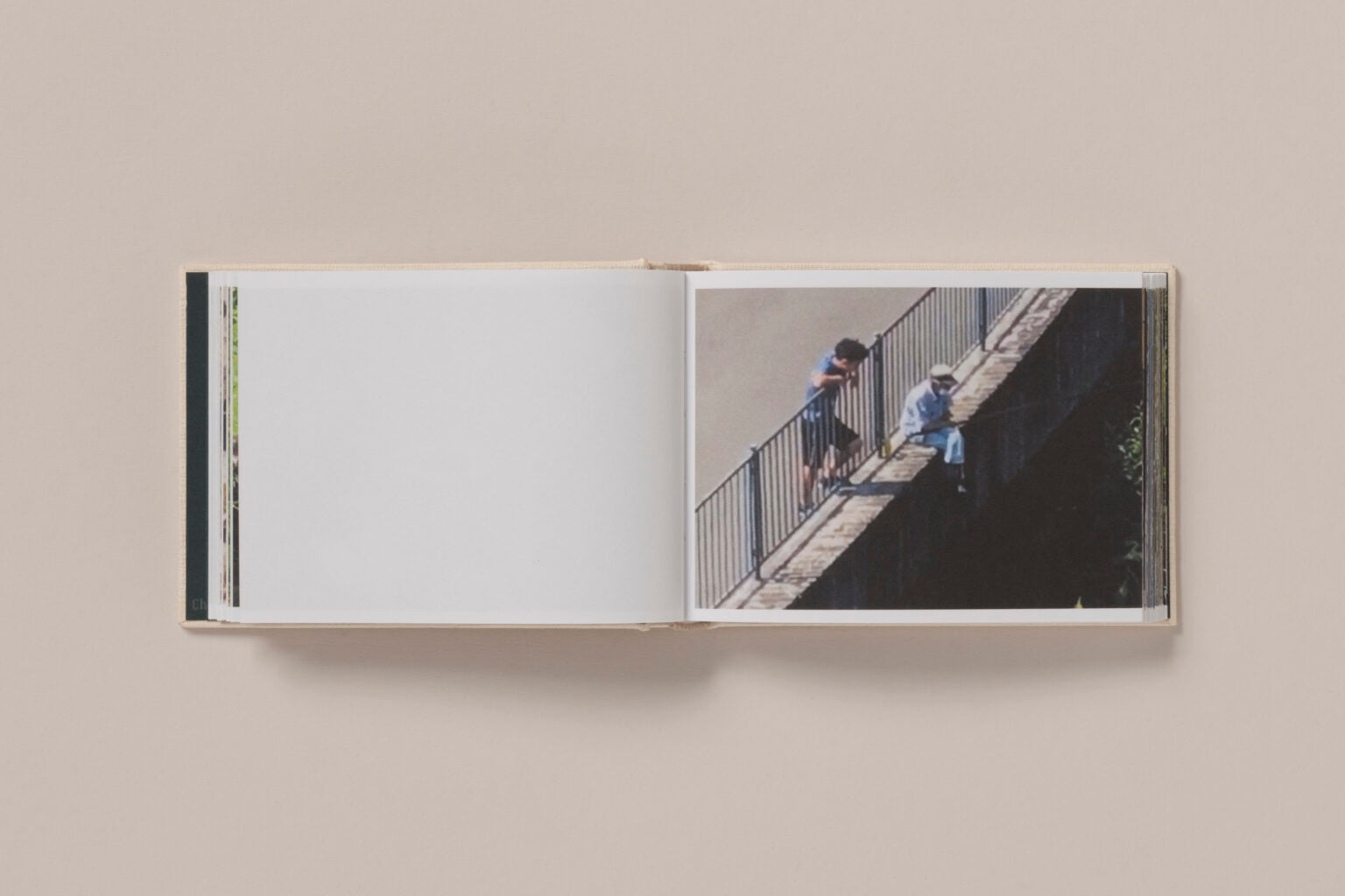 Screenshots of a Rice Field and its Surroundings - Cintia Tortosa Santisteban