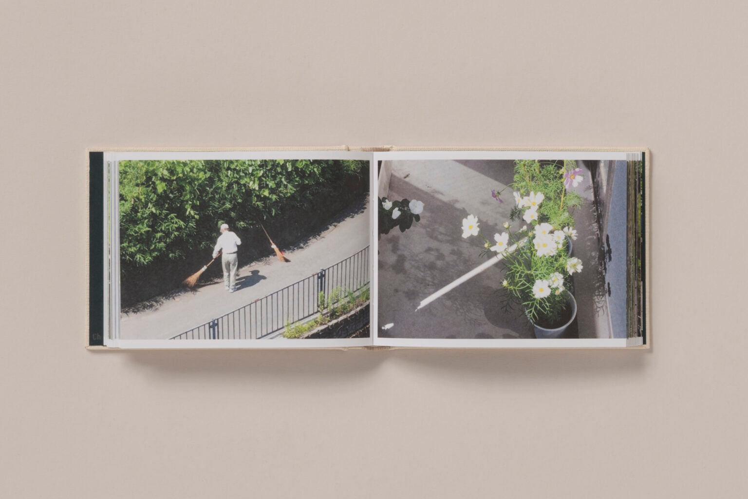 Screenshots of a Rice Field and its Surroundings - Cintia Tortosa Santisteban
