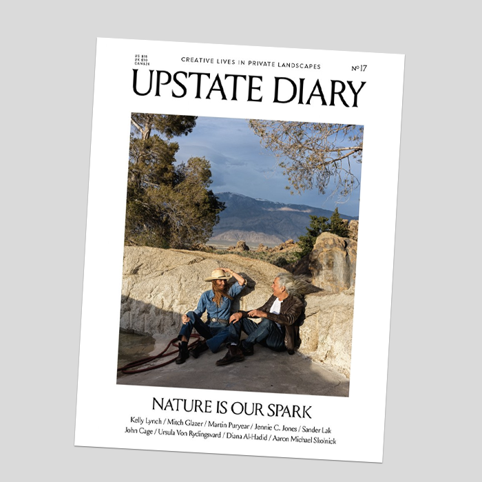 Upstate Diary #17
