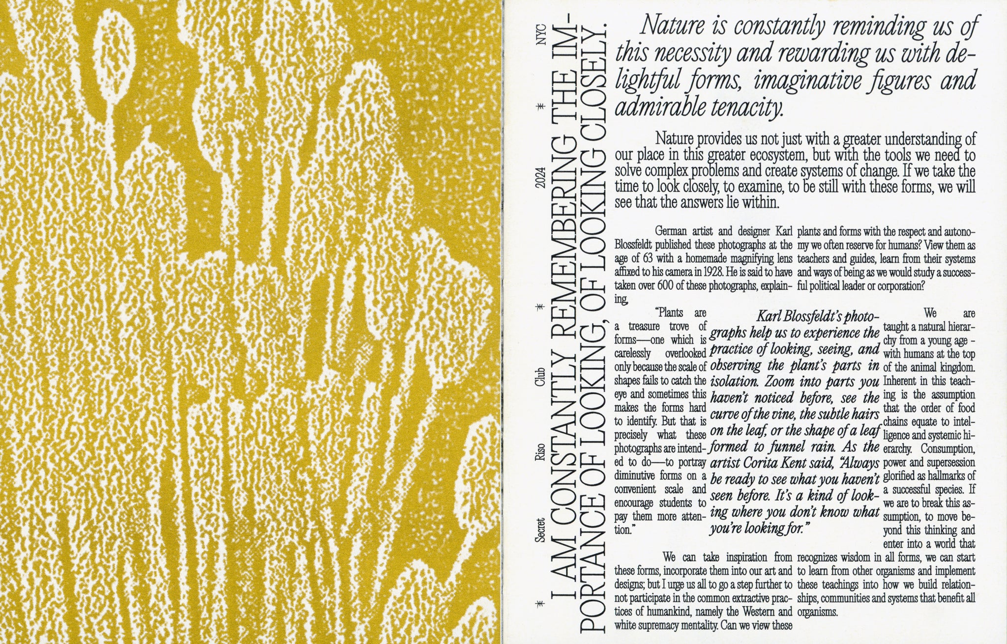 Wisdom In All Forms - Karl Blossfeldt